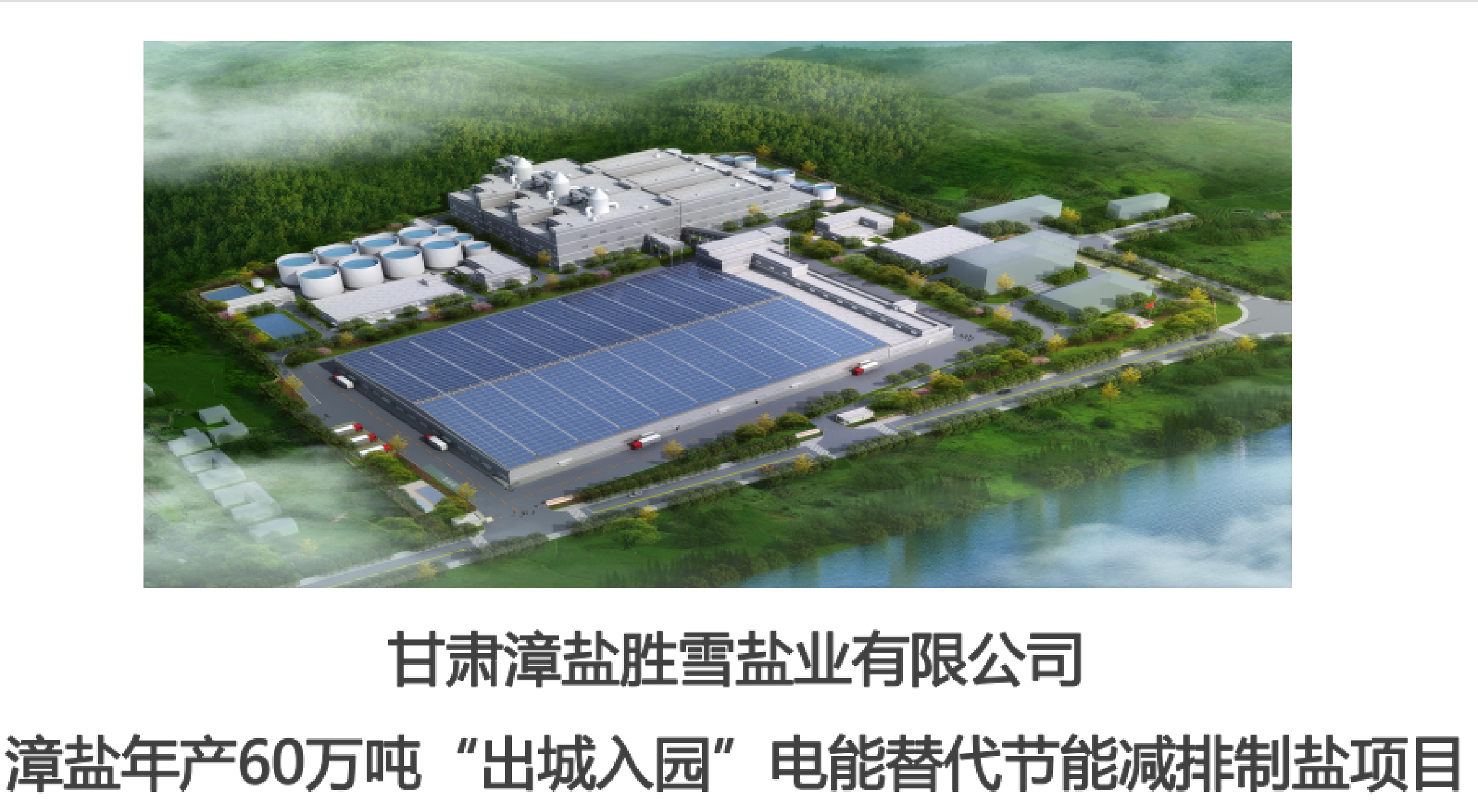 绿色盐业工艺
